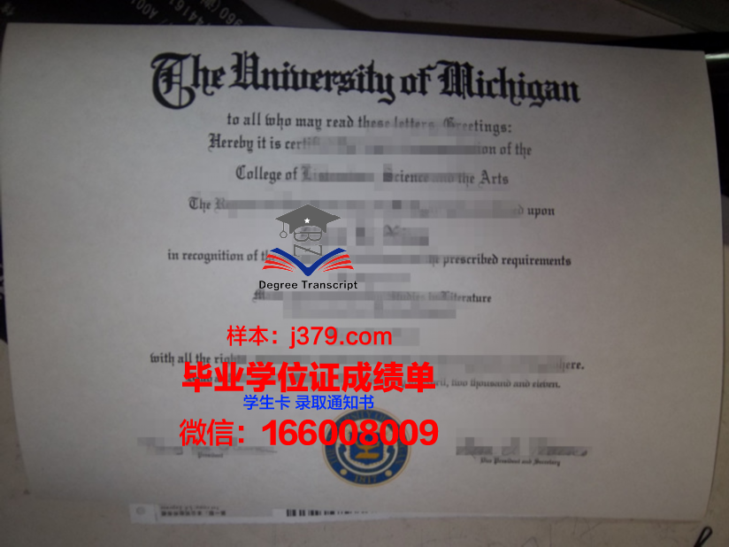 巴西利亚大学硕士毕业证:一份跨越国界的学术荣耀