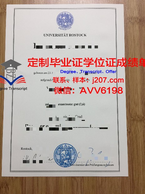 罗斯托克大学拿不了毕业证(德国罗斯托克大学排名)