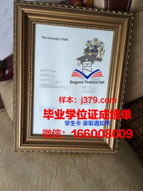 巴斯斯巴大学 diploma 毕业证