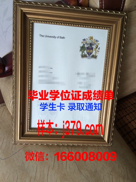 巴斯克大学毕业证模板(巴斯大学就读体验)