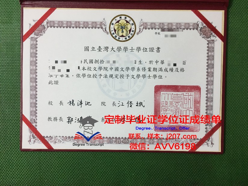 罗斯托夫国立建筑大学硕士毕业证书样本(俄罗斯罗斯托夫国立建筑大学)