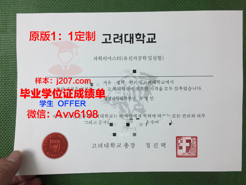 高丽大学毕业证:一份承载荣誉与梦想的证书