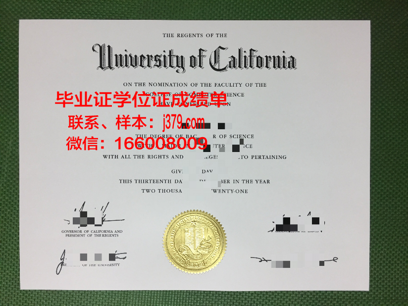 秀明大学本科毕业证:承载知识与梦想的荣誉证书