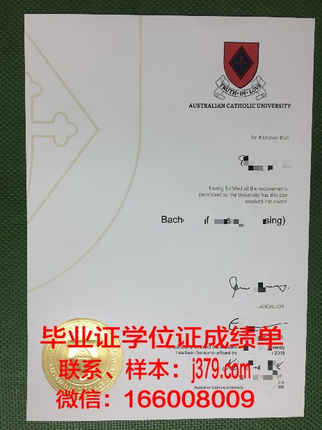 巴拉那天主教大学毕业证样本