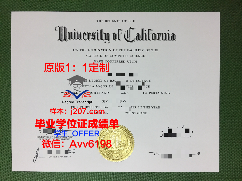 沙东工作室的毕业证啥样