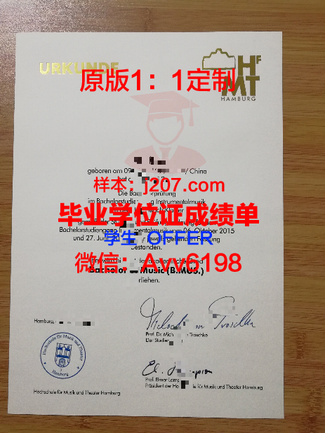 汉堡大学毕业证是什么样子(汉堡大学入学条件)