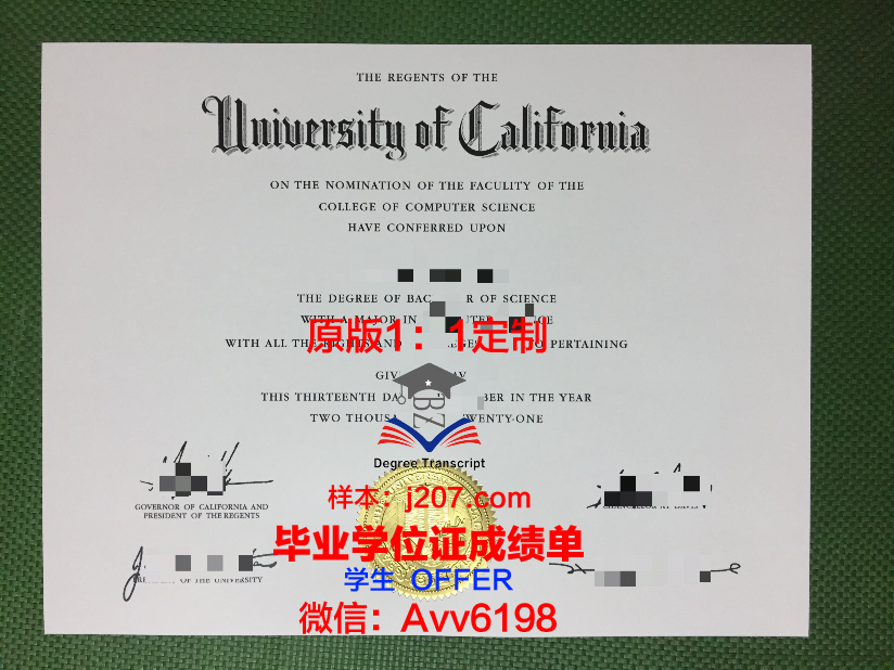 罗术毕业证:承载荣誉与责任的证明