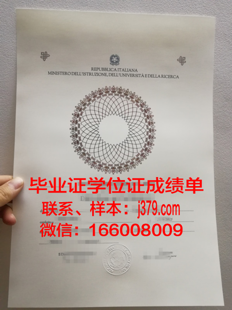 罗马RUFA美术学院成绩单(罗马美术学院高考分数多少以上)