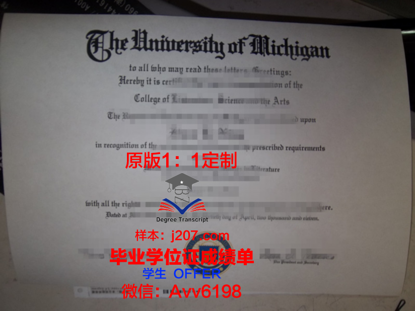 江陵岭东大学毕业证防伪(江南大学毕业证编号)