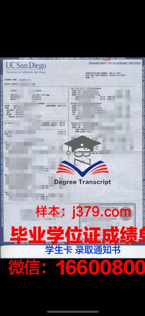 目白大学成绩单:折射出现代教育的问题与反思