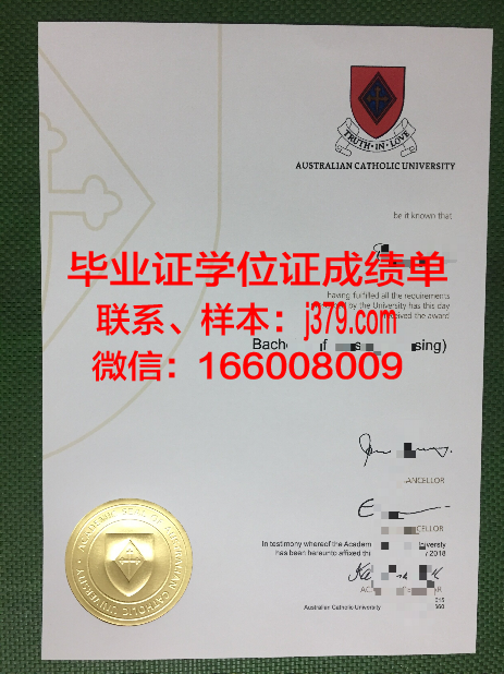 巴拉那天主教大学毕业证书原件