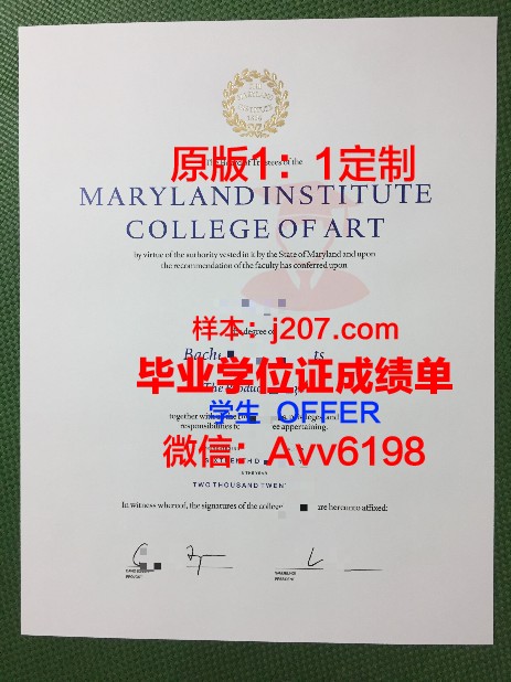 缅因艺术学院毕业证成绩单