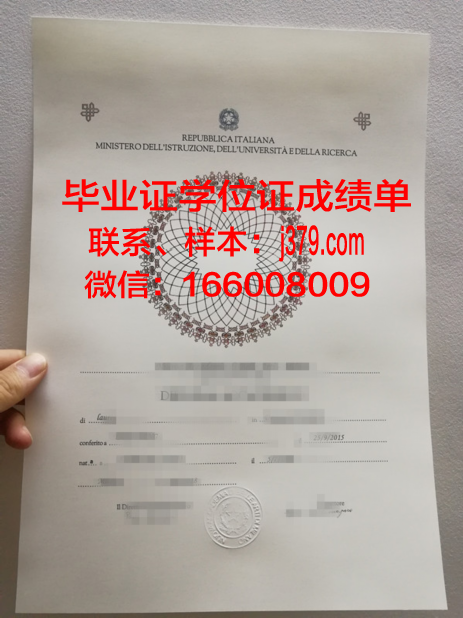福贾美术学院学位成绩单定制:探索学术诚信与教育公平的边界