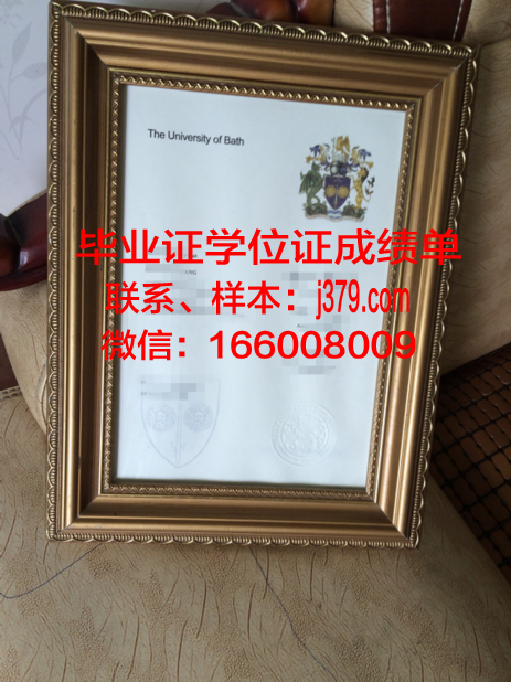 巴斯斯巴大学 diploma 毕业证