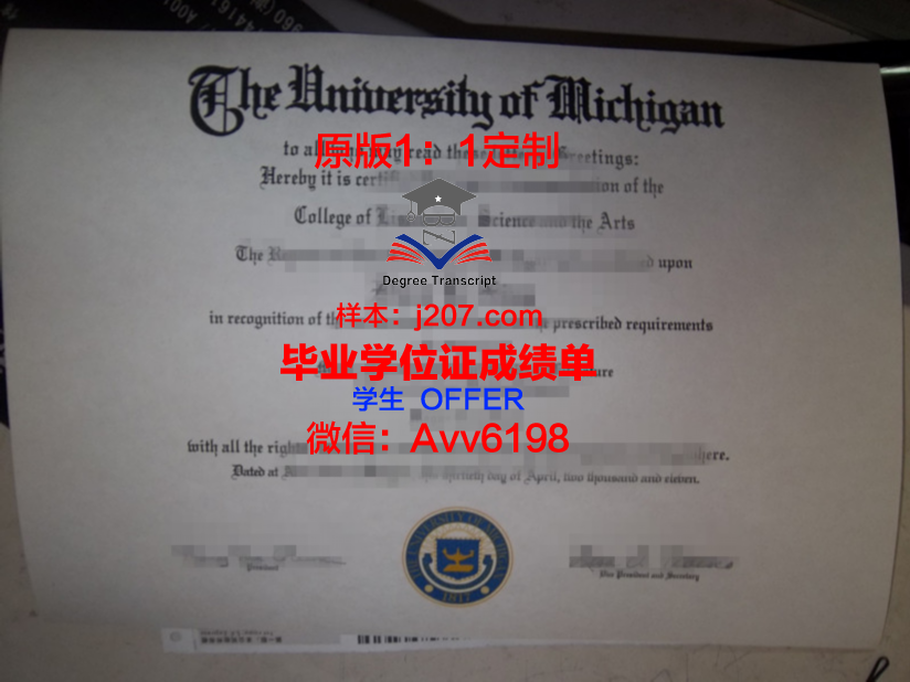江户川大学硕士毕业证:一份跨越时空的荣耀
