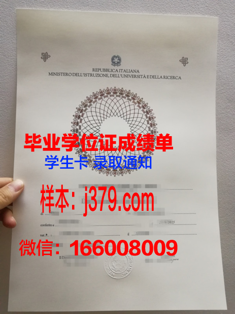 沃罗涅日高等技术学院毕业证:一张纸背后的价值与荣耀