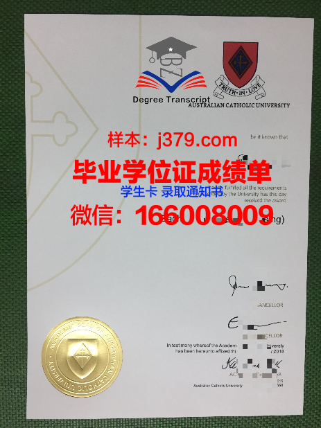 巴拉那天主教大学毕业证样本