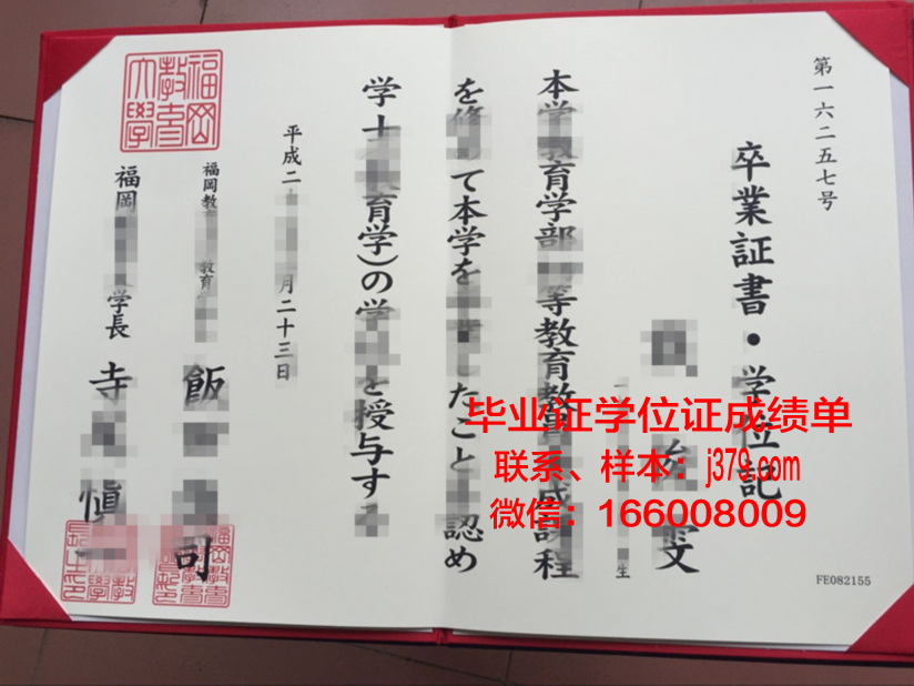 福冈设计科技专门学校毕业证书模板(福冈建筑)