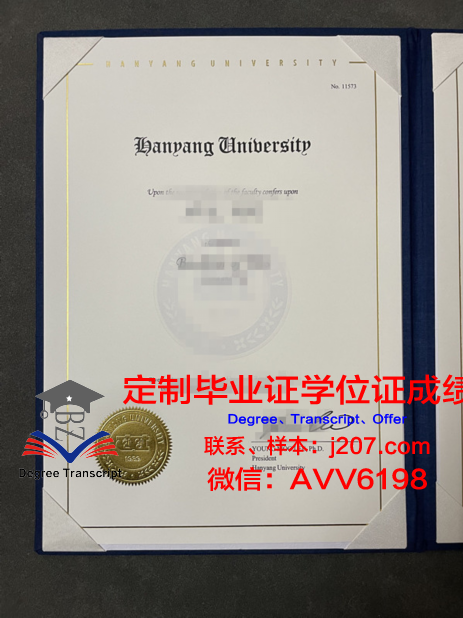 汉阳大学毕业证什么样子(汉阳大学erica校区毕业证)