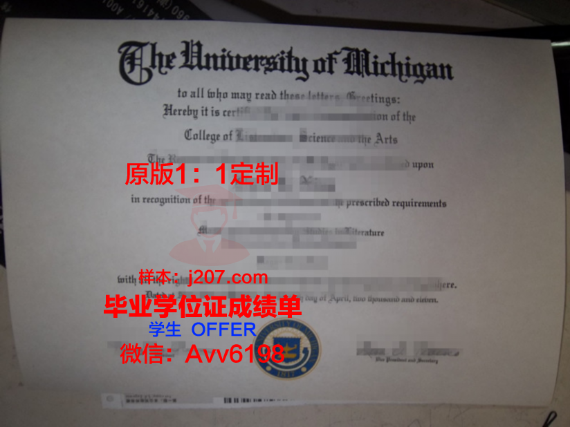 罗术毕业证:承载荣誉与责任的证明
