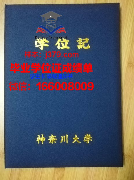 神奈川工科大学毕业证书模板(神奈川大学什么级别)