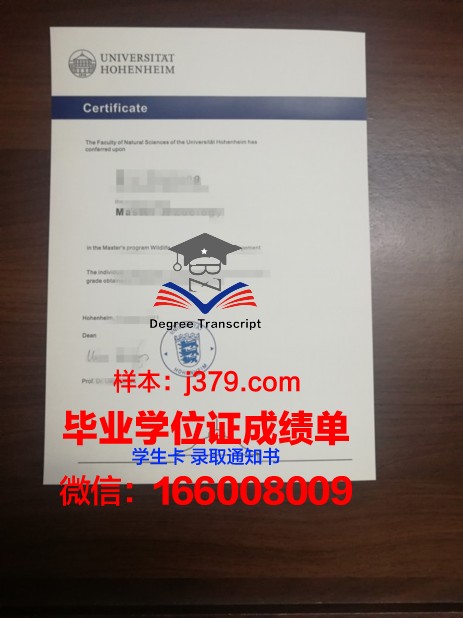 盖森海姆应用技术大学毕业证书图片模板
