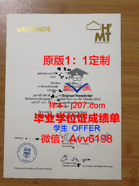 汉堡造型艺术学院毕业证案例(汉堡大学艺术学院)