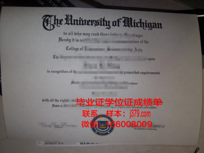 社会教育学院毕业证图片(社会教育学院毕业证图片样本)