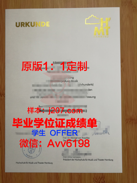 汉堡音乐与戏剧学院毕业证成绩单