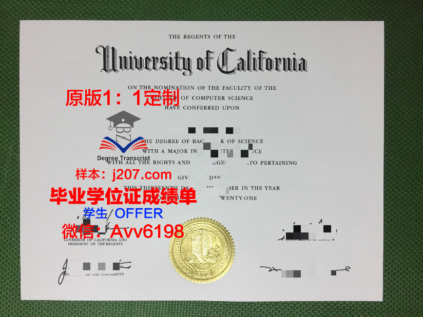 网上大学毕业证被贴了别人的照片:一场身份的错位