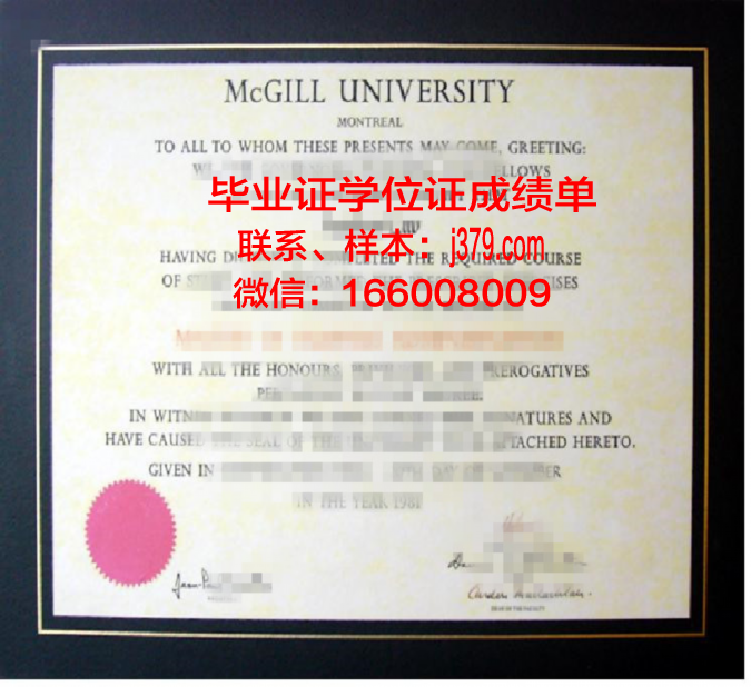 硕士学位证书样版:承载知识与荣耀的象征