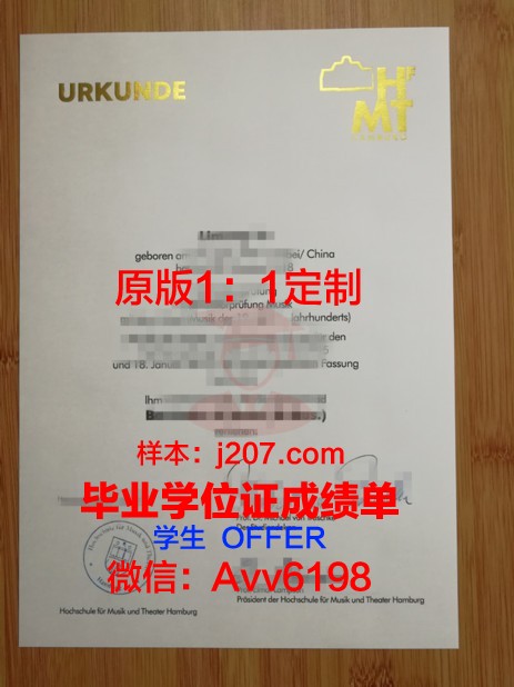 汉堡港口城市大学毕业证壳子