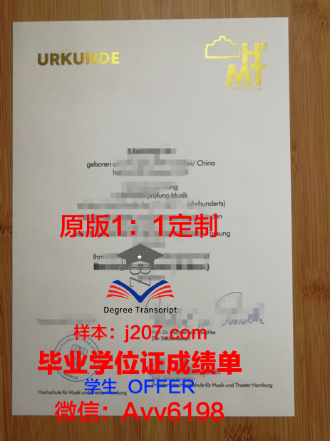 汉堡品牌应用技术大学毕业证案例(汉堡设计与传播应用科学大学)