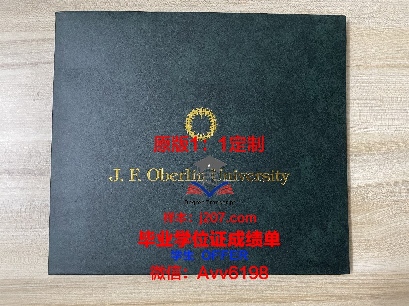 罗斯托夫国立大学毕业证模板(罗斯托夫州大学)