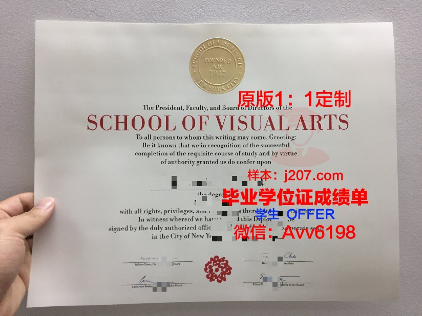 沃罗涅日国立艺术学院毕业证书图片高清(沃罗涅什大学)