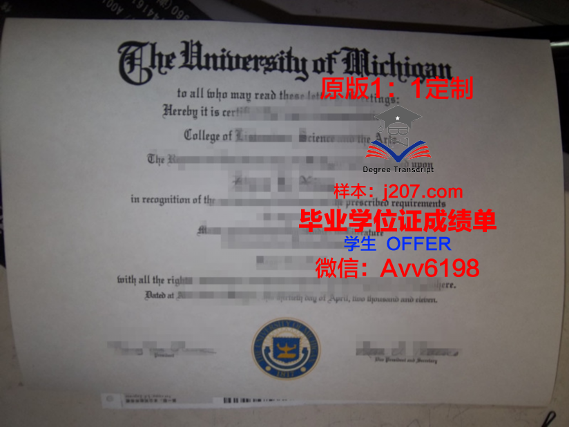 阿尔法BK大学毕业证好找工作吗(阿尔法商学院)
