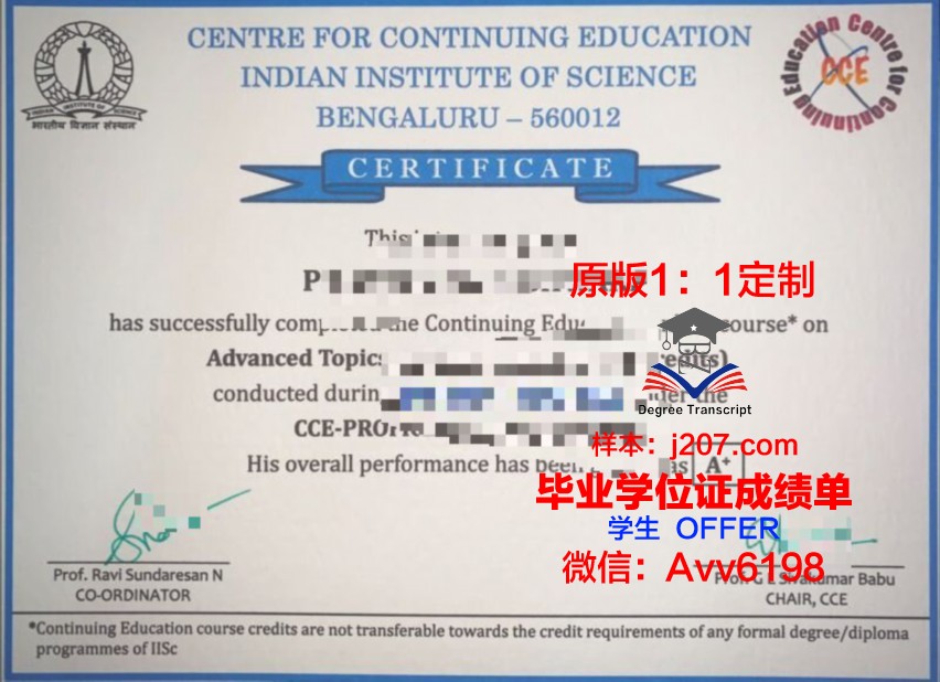 阿兰努斯艺术与社会科学学院文凭(德国阿兰努斯大学)