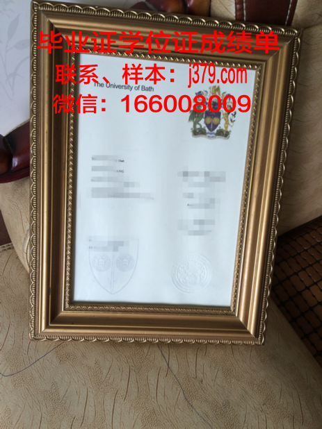 巴斯克地区高等艺术学院学位证书(巴斯大学艺术)