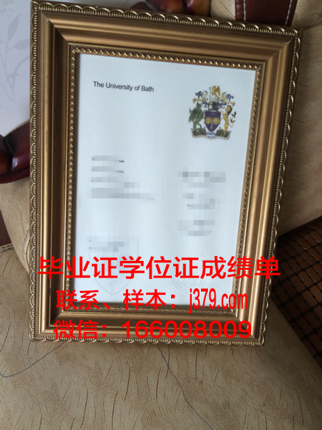 巴斯克大学毕业证模板(巴斯大学就读体验)