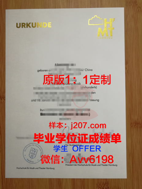 汉堡造型艺术学院毕业证照片(汉堡艺术馆)