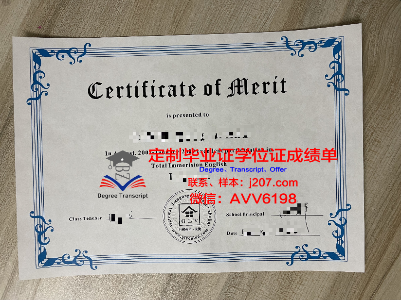 美因茨大学毕业学位证书(美因茨大学毕业学位证书图片)