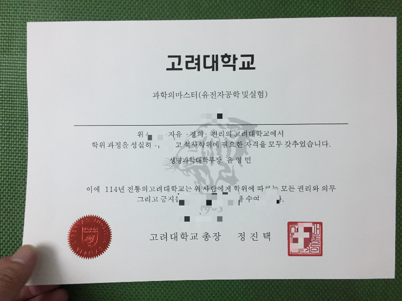 高丽大学毕业证模板图(高丽大学吧)