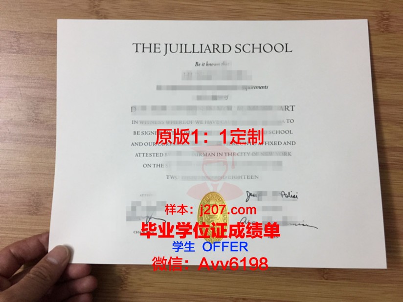 罗维戈音乐学院成绩单:一份见证音乐才华的荣誉证书