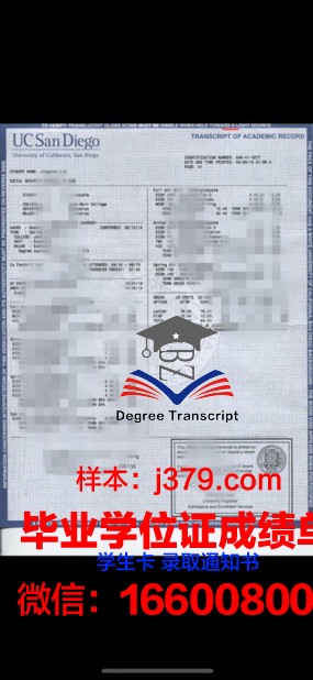 巴联大成绩单:书写丝路合作新篇章