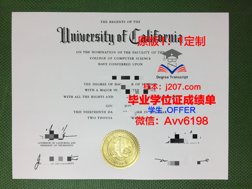 汉肯经济学院毕业证模板(汉肯商学院)