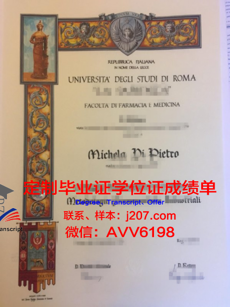 罗马第三大学毕业证学位证(罗马三大语言学校)