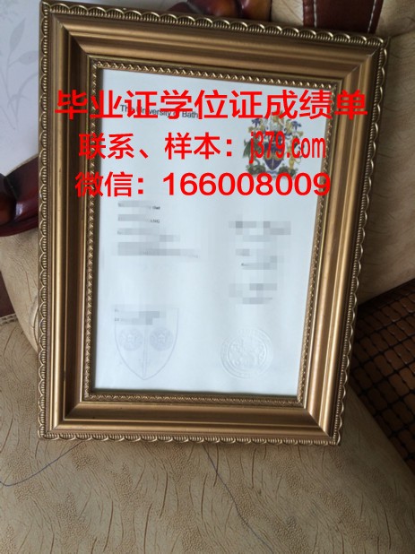 巴斯帝尔大学博士毕业证:一份通往专业巅峰的通行证