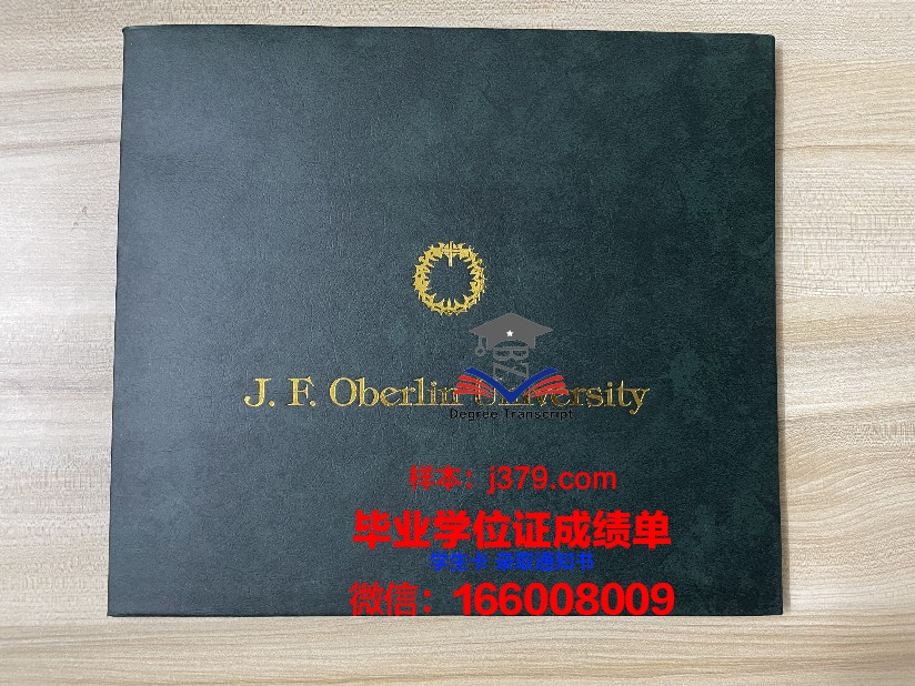 普埃布拉拉美大学学生卡