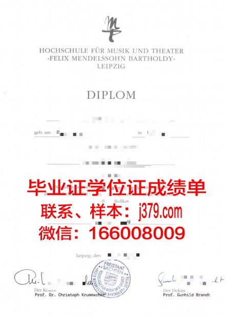 莱比锡HHL管理学院文凭(莱比锡大学mba)