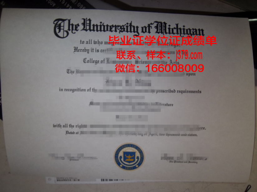 普莱斯蒂亚·穆理亚大学博士毕业证:一份荣誉的见证